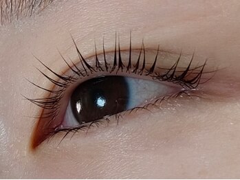 まつげやさんプラス 広島段原(まつげやさんplus)/上下