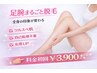 《5月限定》足腕まるごと美肌脱毛♪隅から隅まで徹底照射！