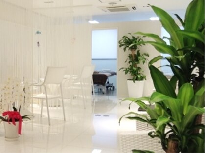 グレース ビューティー サロン グレース千葉店(GRACE BEAUTY SALON)の写真