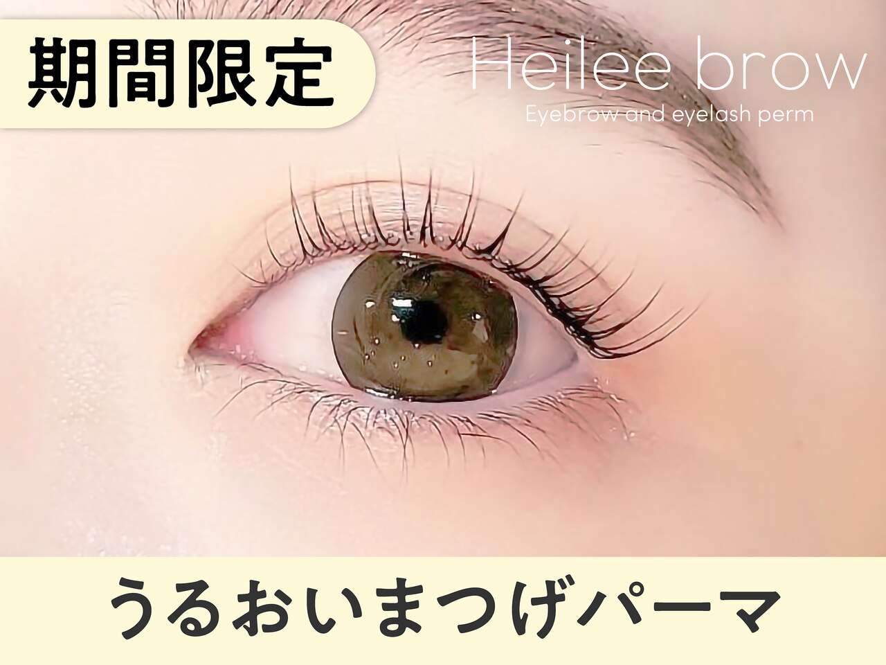 【3月9日まで限定】潤いまつげパーマ \6600→【\2690】[栄]