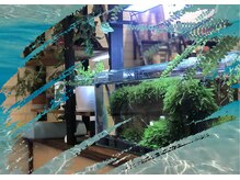 アクア(AQUA)/