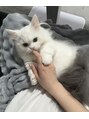 ロア(LOA) うにちゃんはけながのミヌエット