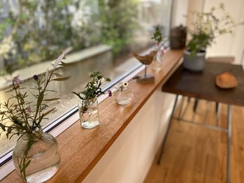 いまづ整体院/たくさんの植物とアロマの香り