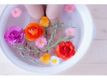 フェルヴィータ(Felvita)/