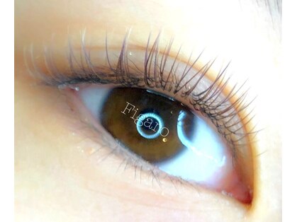 フリルアイビューティー フィガロ 北生駒店(Frill eye Beauty Figaro)の写真