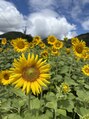 リラクゼーションサロン 潤潤 夏生まれの私は元気をもらえる夏の花、ひまわりが大好きです☆