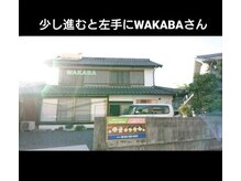 トポリーノ(Topolino)/