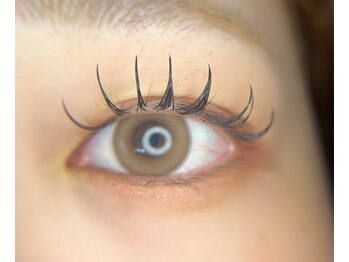 アール(R)/フラットラッシュ120本