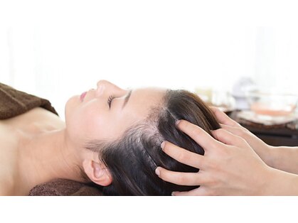 ルーナ(Luna)の写真