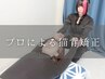 【女性人気NO.１！】全身オーダーメイド矯正６０分　￥7500