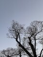 ルモ アイデザイン(lumo eyedesign) いつかのカラスと空