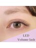 【Akari限定/指名料込】LEDエクステ★オフ込ボリュームラッシュ120束　¥8000
