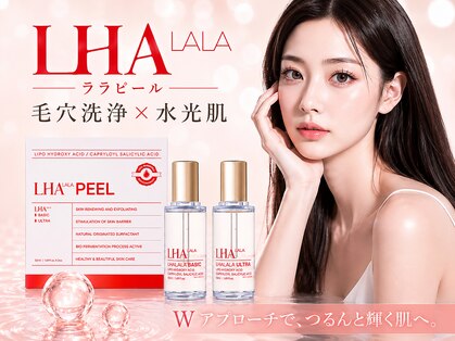 ダリア(Dahlia)の写真
