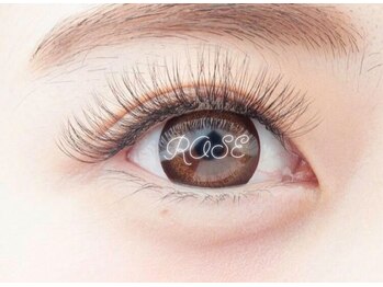 ローズ(ROSE)/ボリュームラッシュ360本