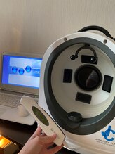 フェルヴィータ(Felvita)/