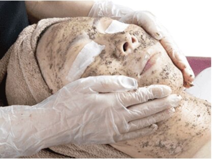 ジェルベーラ(Gerbera)の写真