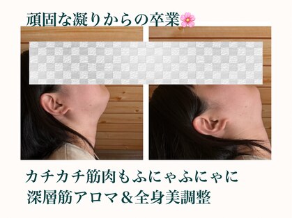 アトラス(Atlas)の写真