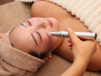 サロン ニコリー(Salon Nicolly)/エステ版 ソフトダーマ美容導入