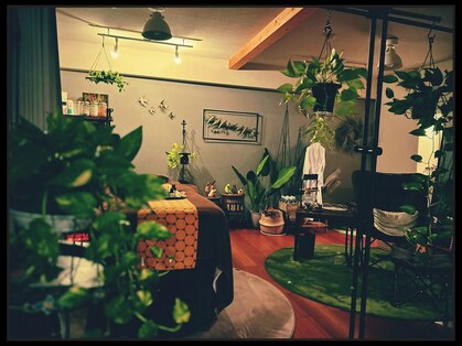 クラーロ デ ラ ルーナ(claro de la luna)の写真