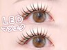 【LED】フラットラッシュ(マツエク)【180本】￥8,000