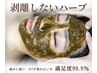 忙しいあなたに「削らない美容」の選択を”剥離なしハーブ”