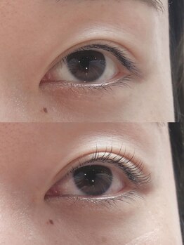 バードアイ(bird eye)/ラッシュリフト(まつ毛パーマ)