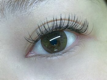 ビー アイラッシュ(BEE eyelash)/フラットラッシュ120本