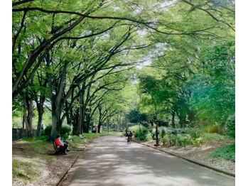 ピュアグレース 自由が丘/緑豊かな駒沢公園すぐそば！
