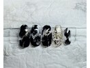 モノクロニュアンス