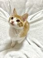 サロン ベルエット(Salon Bellet)&nbsp;にゃんこもいます^ ^