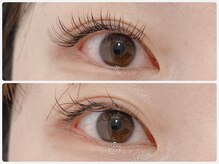 トキ(Toki)/フラットラッシュ120本