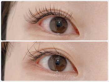 トキ(Toki)/フラットラッシュ120本