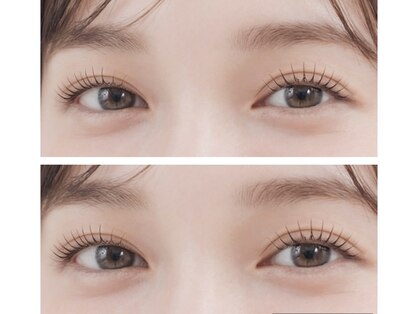 イル アイラッシュ(ile)の写真