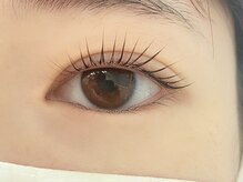 アイラッシュプラザ(EYELASH PLAZA)/メーテルロッド