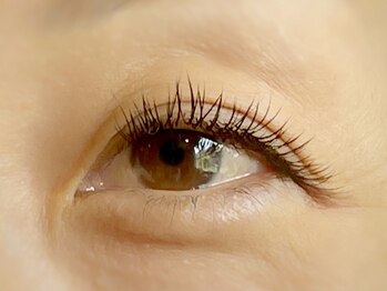 アイアイ(i eye)/フラットラッシュ