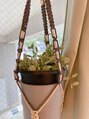 ジジ(Gigi)&nbsp;観葉植物にはまり始めました！