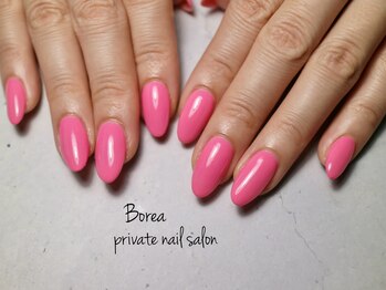 ボレア(Borea)/ワンカラー