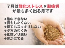 ヨサパーク ヌック サカイ 鉄砲町店(YOSA PARK nucc)