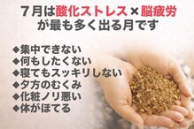 ヨサパーク ヌック サカイ 鉄砲町店(YOSA PARK nucc)