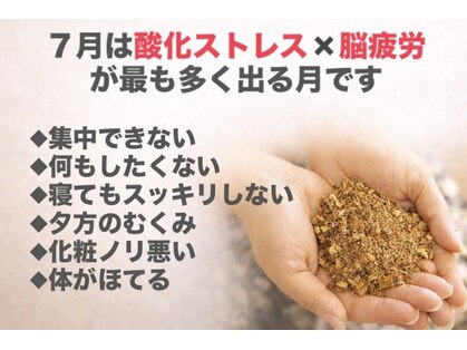ヨサパーク ヌック サカイ 鉄砲町店(YOSA PARK nucc)の写真
