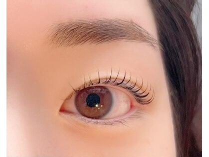 ログ(log)の写真