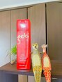 サロンデュヒャーク 志木駅前店(salon du ひゃーく) ひゃーくの商品大好き♪使ってみての体験談、成功例あります