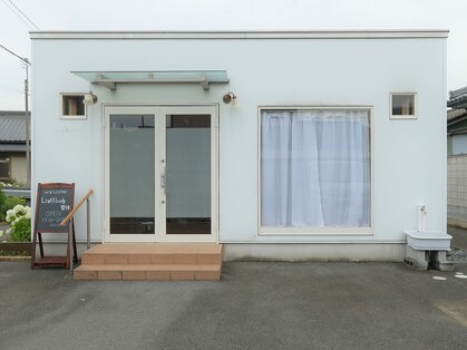 ライトボディ(Light-body)の写真