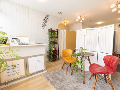 マル(MALU)の写真