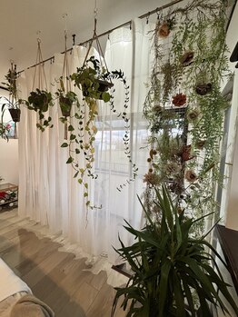 ブルーム(B.LOOM)/サロン内模様替えしました