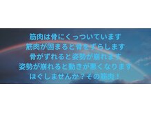 アテラブルー(atera_blue_)