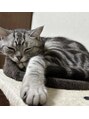カレン 自由が丘(KALEN) 休日飼ってる猫とのんびり過ごしてます♪