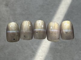 2026年2月standard 定額