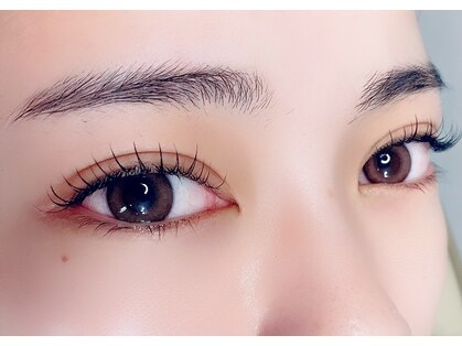 ベル(Belle)の写真