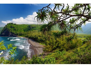 ハワイアンフォレストSpa 福岡天神店/ポロルー渓谷